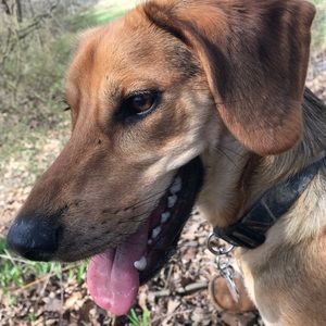 Meet your Posher, Brooke